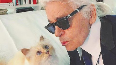 ЖИЗНЬ НА ШИРОКУЮ ЛАПУ